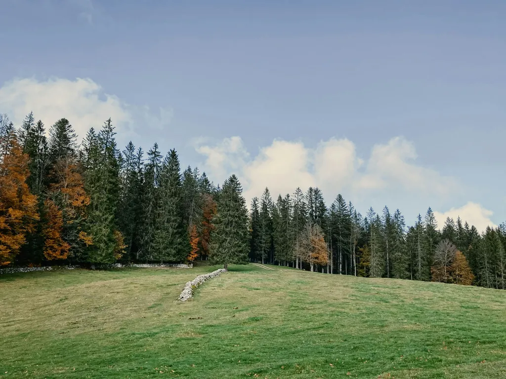 La Prise-Fège - "Clairière"