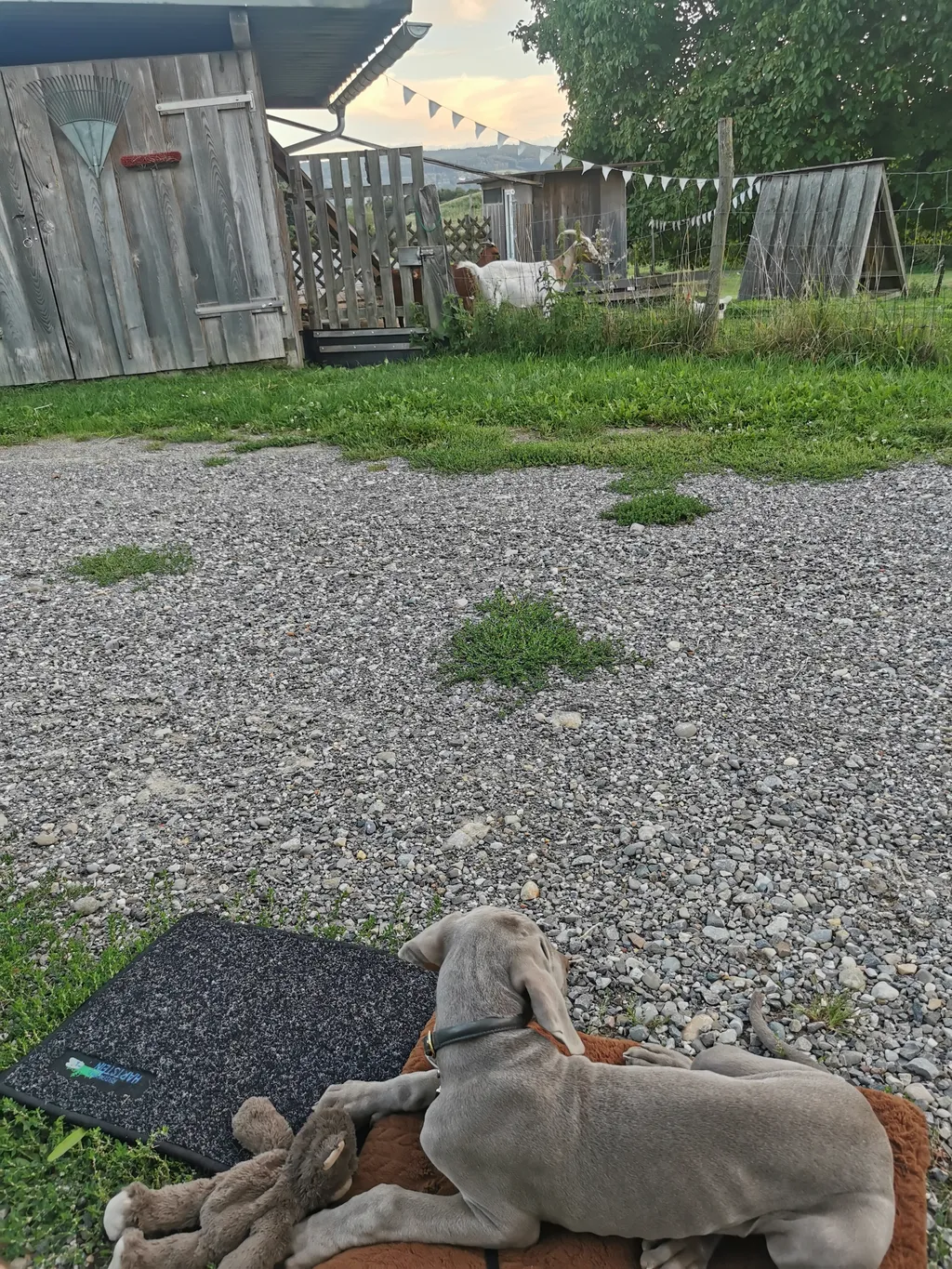 Bild von Joachim für den Spot 1387