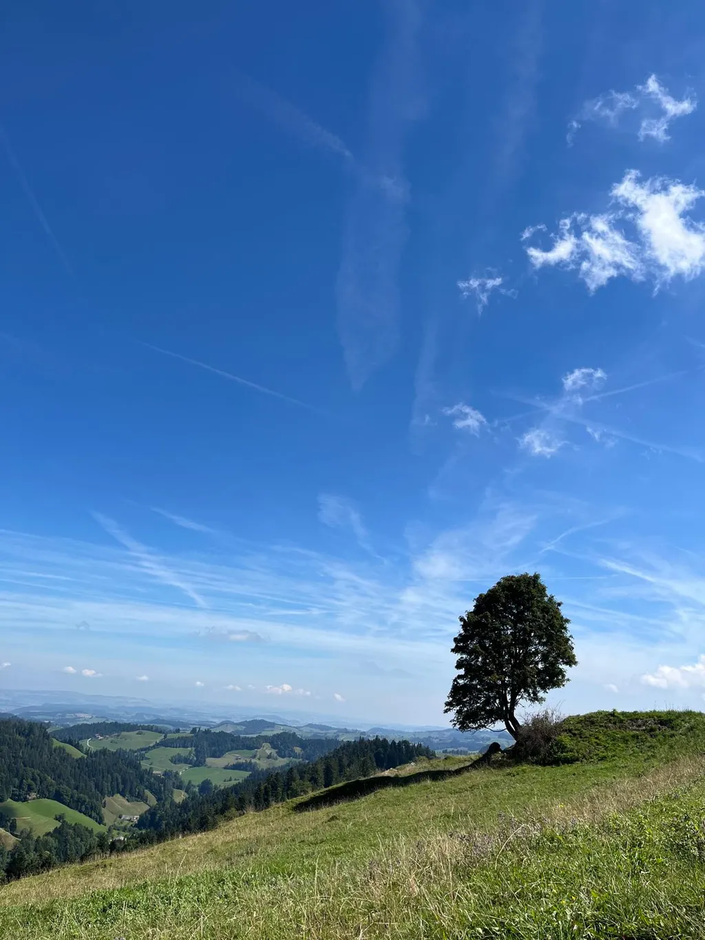 Bild von Willa für den Spot 363