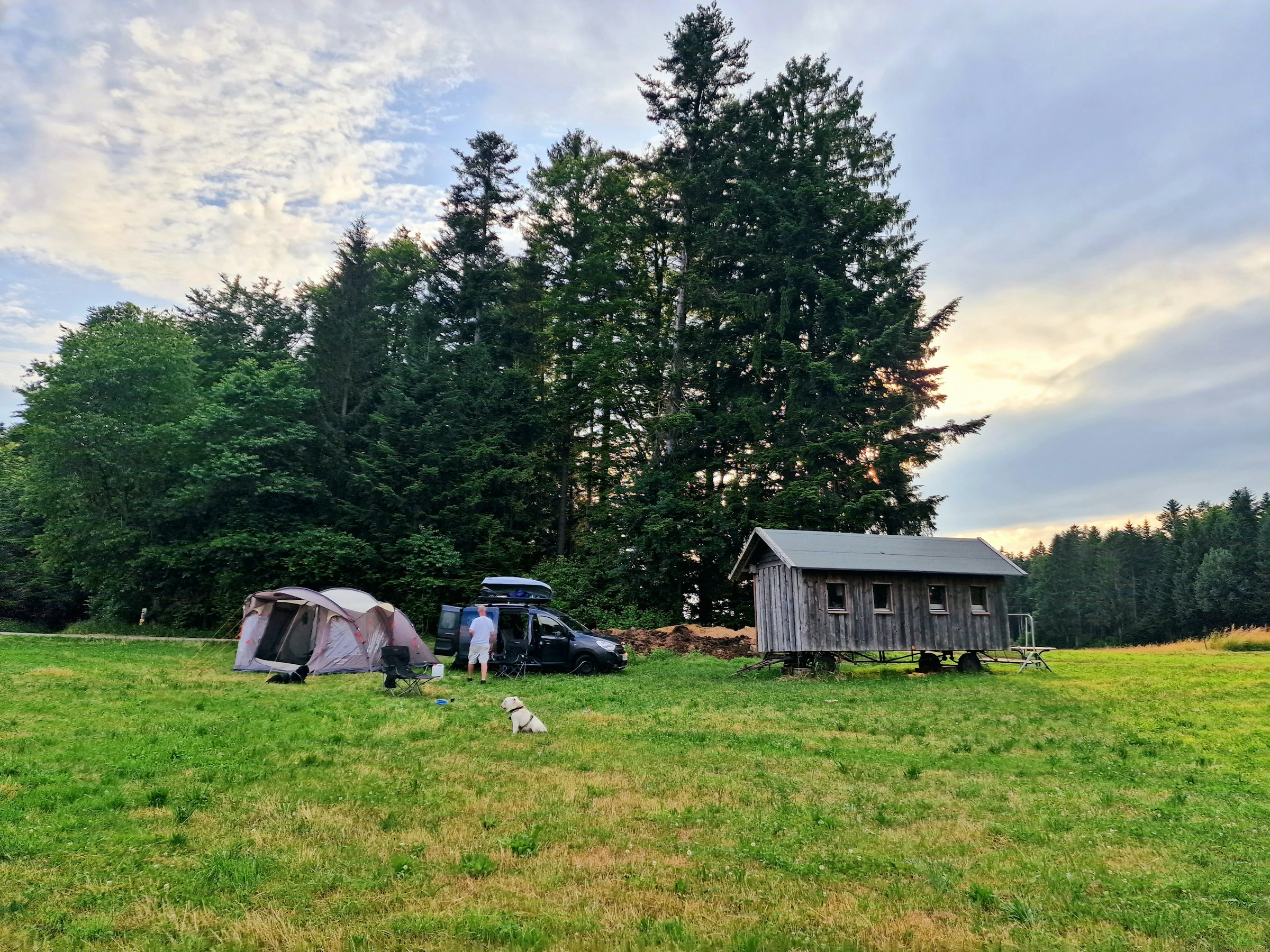 Pferderanch im sonnigen Nebelberg