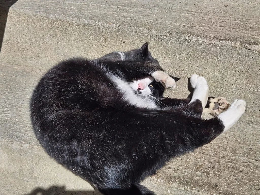 Wiesenstellplatz mit Aussicht