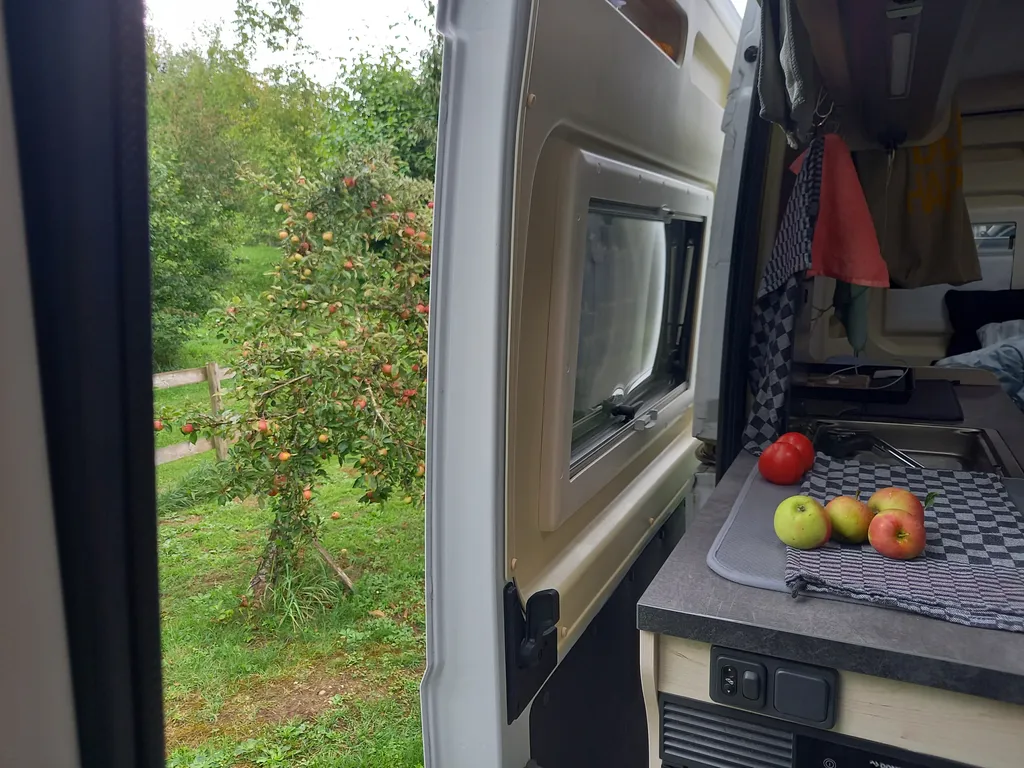 Bild von Reinhard für den Spot 3112