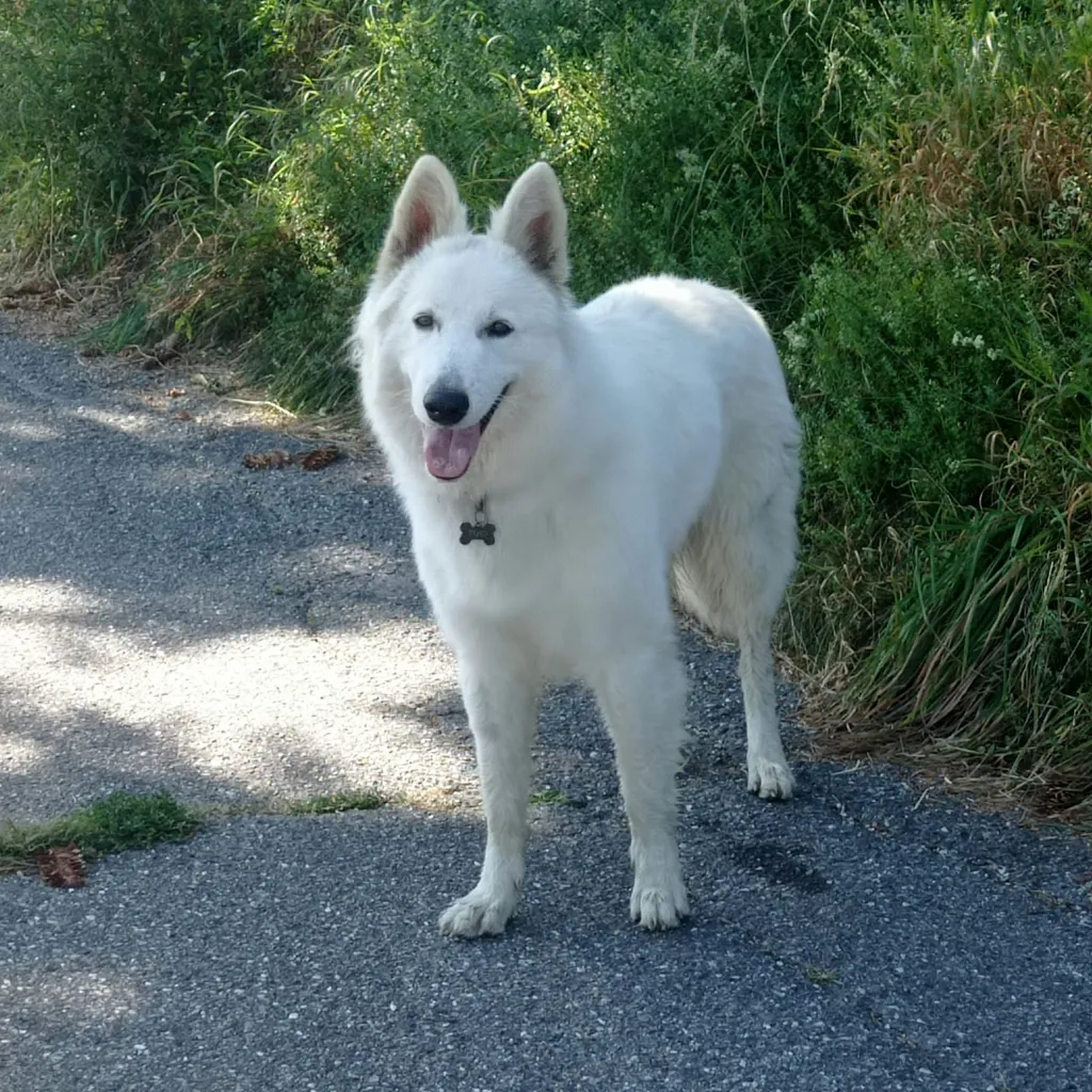 Van Moar Bauernhof avatar