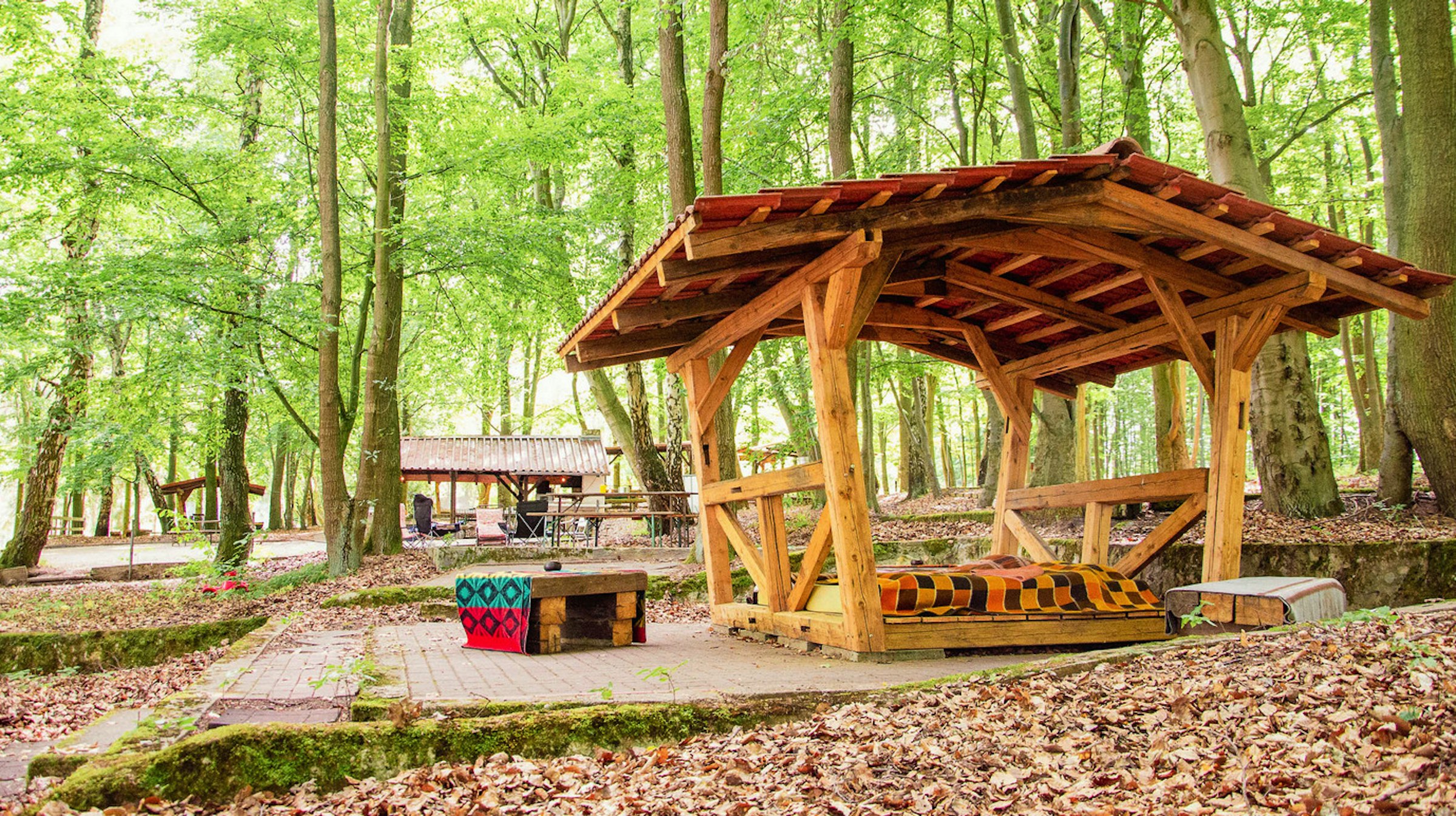 Wald-Shelter im Buchengrün