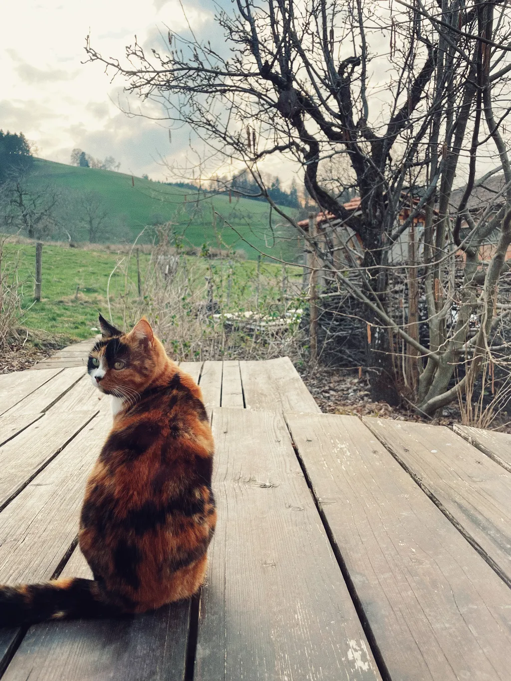 Bild von Valeska Kara für den Spot 3975