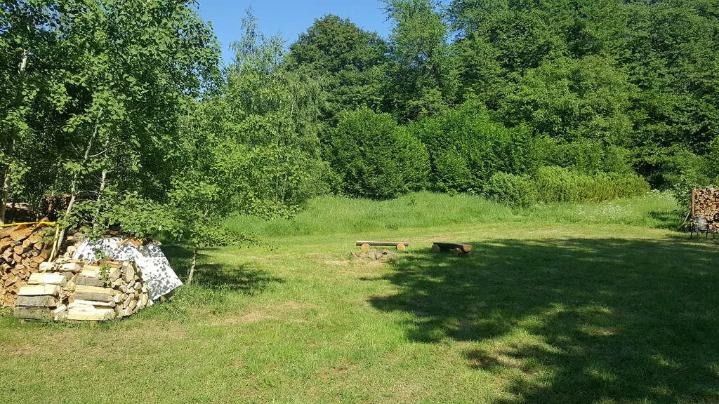 Wunderschöne Waldrandwiese