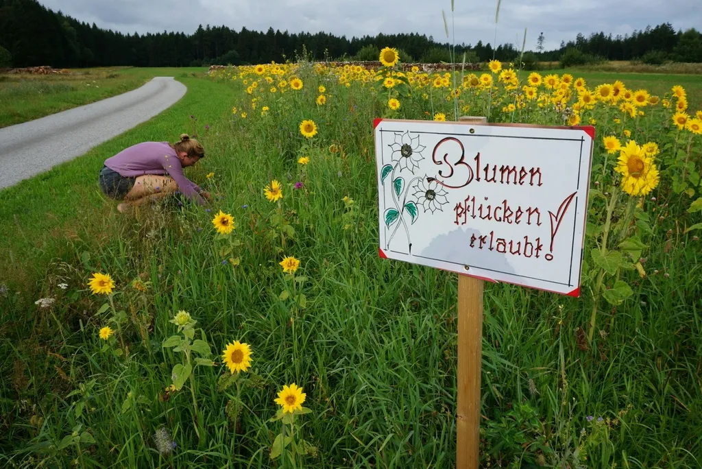 Kleiner Weg durch die Natur, ideal für Spaziergänge direkt vom Stellplatz aus.