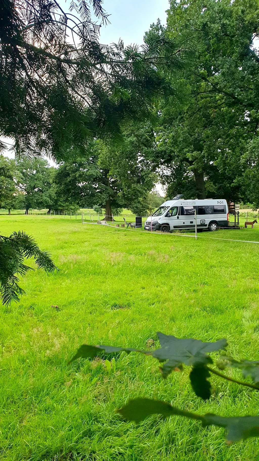 Wiese hinterm Haus neben Pferden