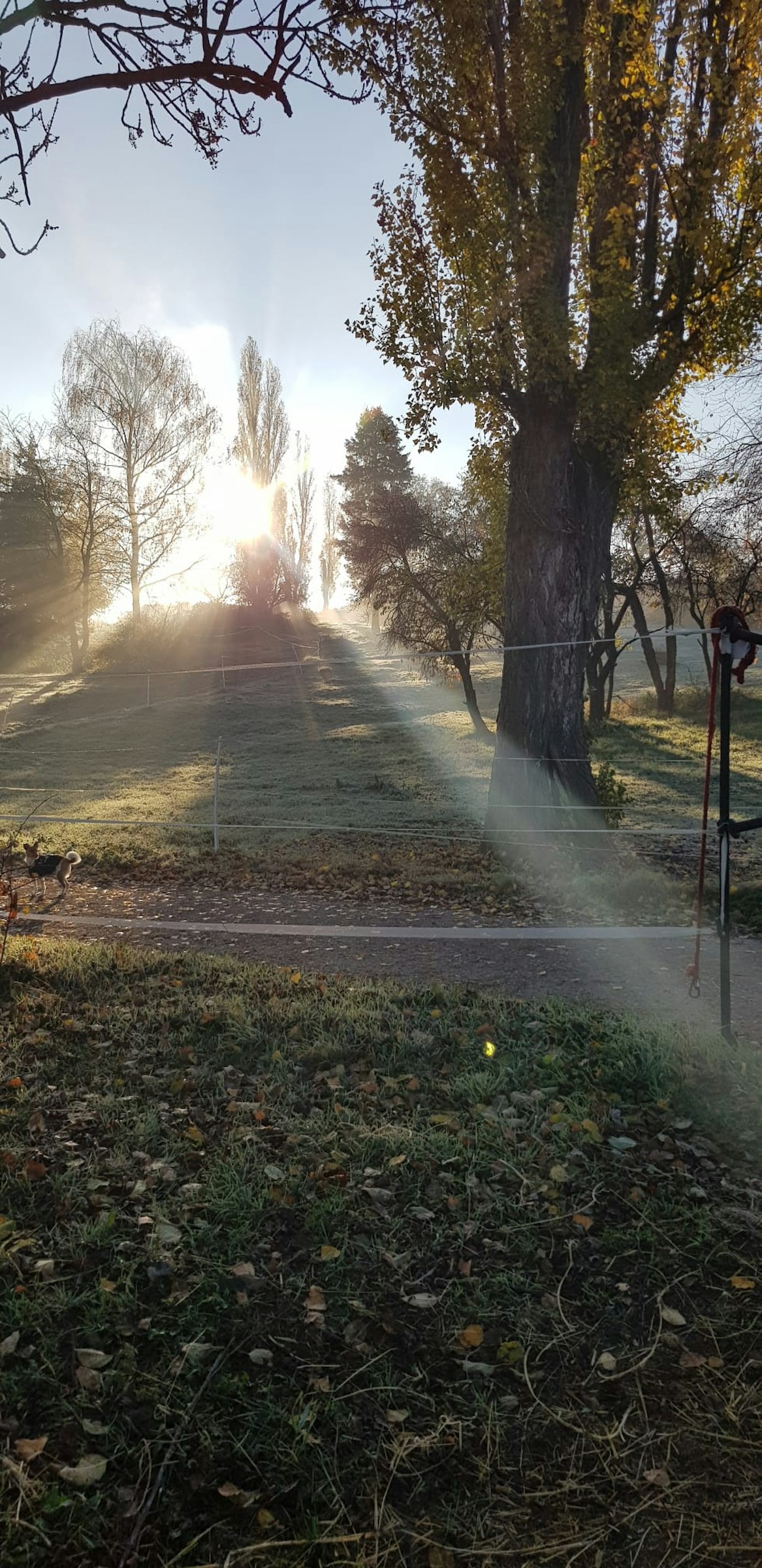 Stellplatz auf Reitanlage