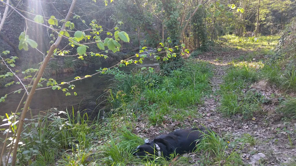 Bild von Monica für den Spot 4427