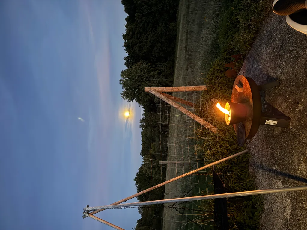 Bild von Felix für den Spot 3697