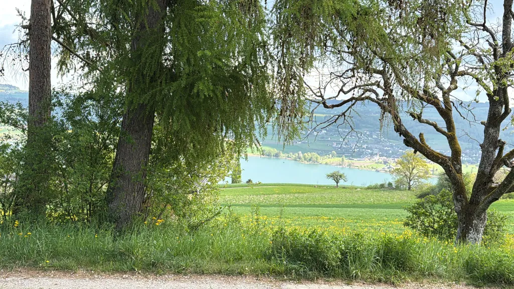 Bild von Angela für den Spot 128