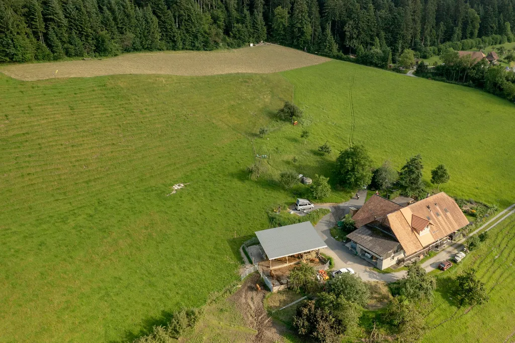Bio Bauernhof mit Weitblick