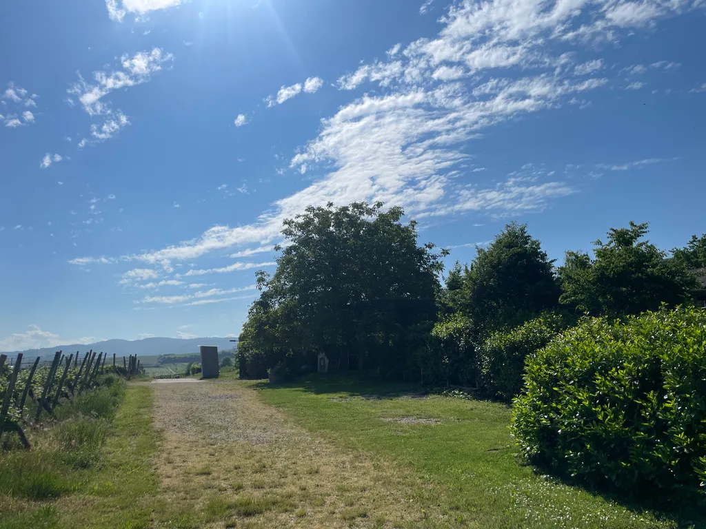 Im Weinberg mit einmaliger Aussicht