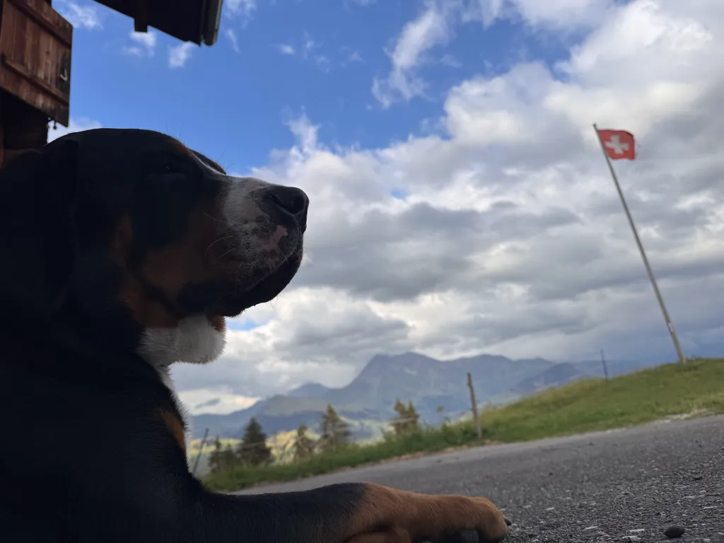 Bild von Michel für den Spot 253