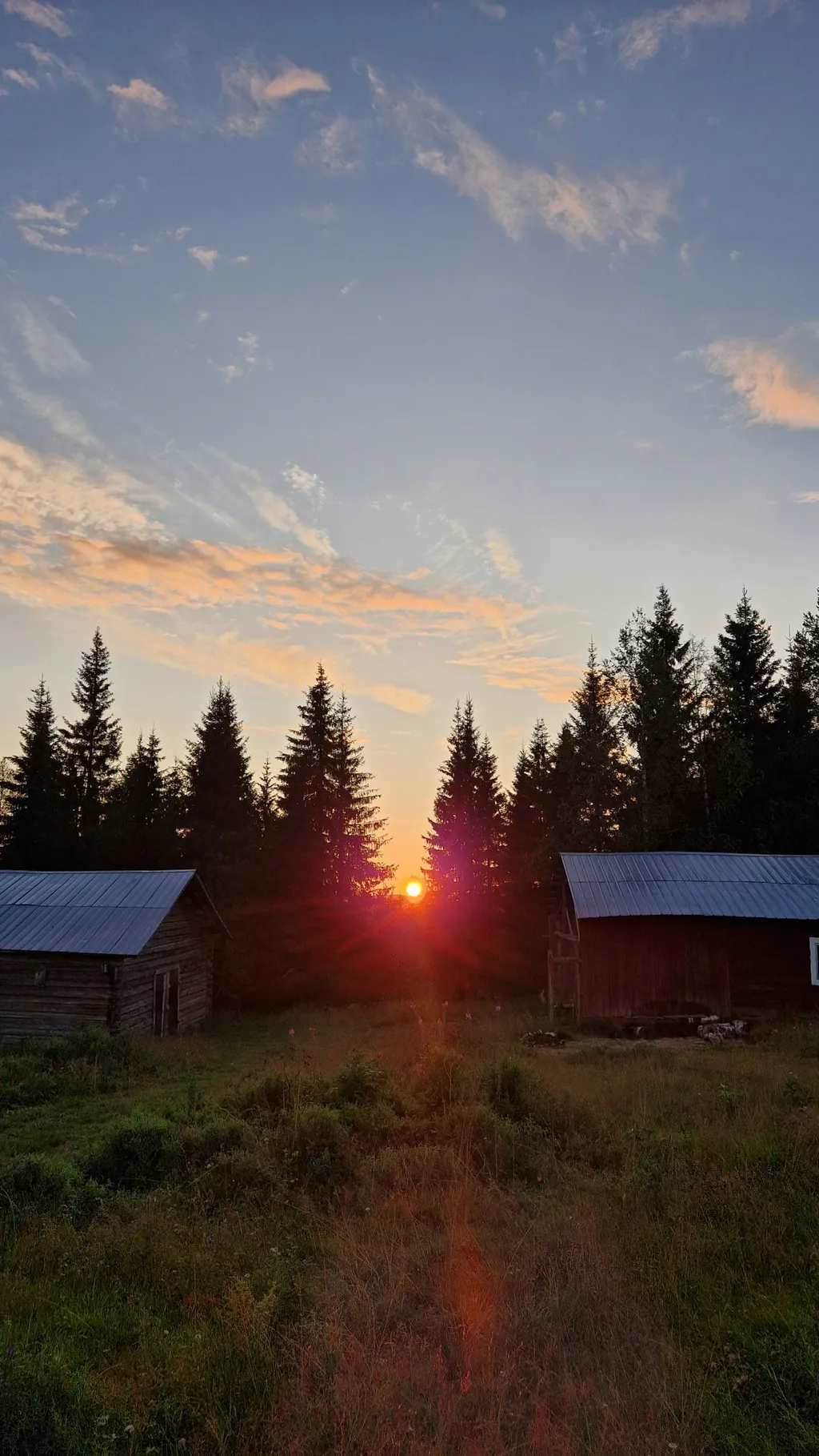 WTF Camp - Stellplätze in Schwedisch Lappland