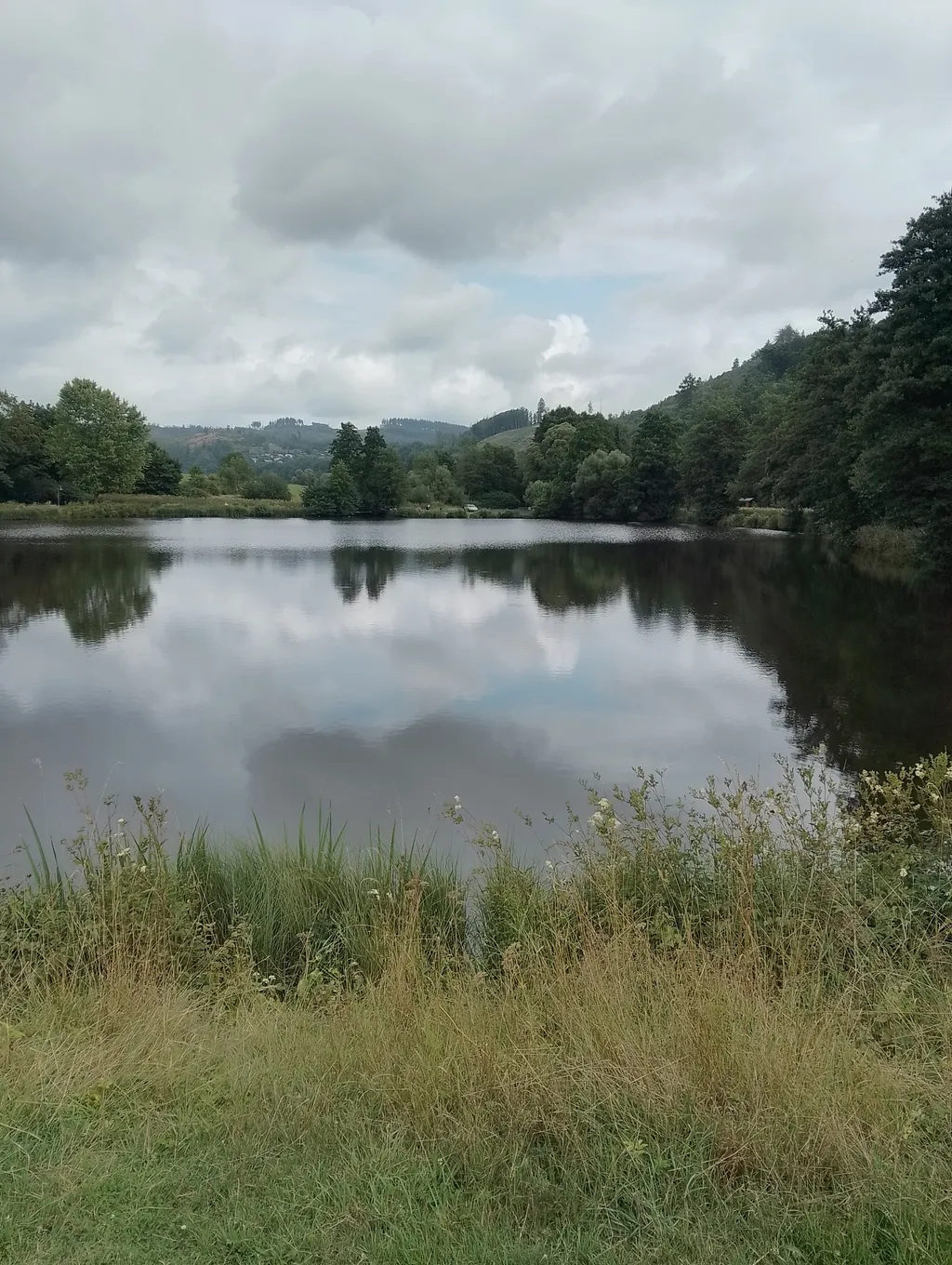 Bild von Sandro für den Spot 1305