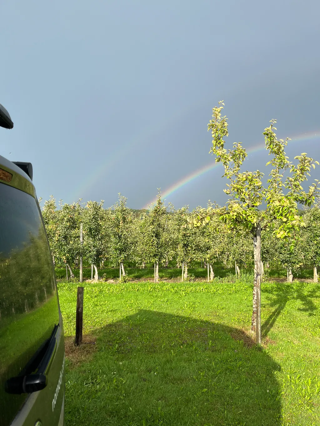 Abgelegene, ruhige Wiese