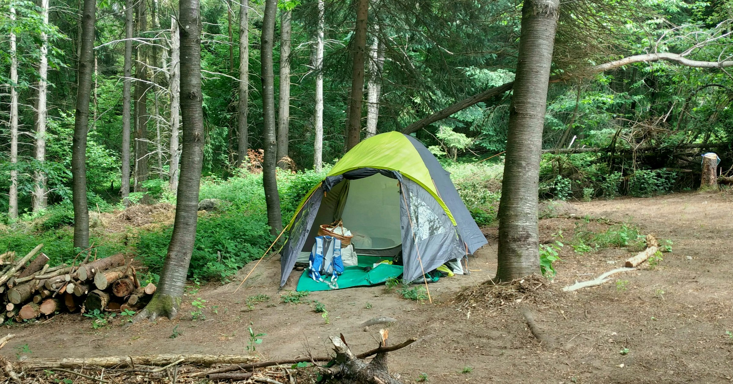 Natürlichkeit & Ruhe im Pfälzerwald