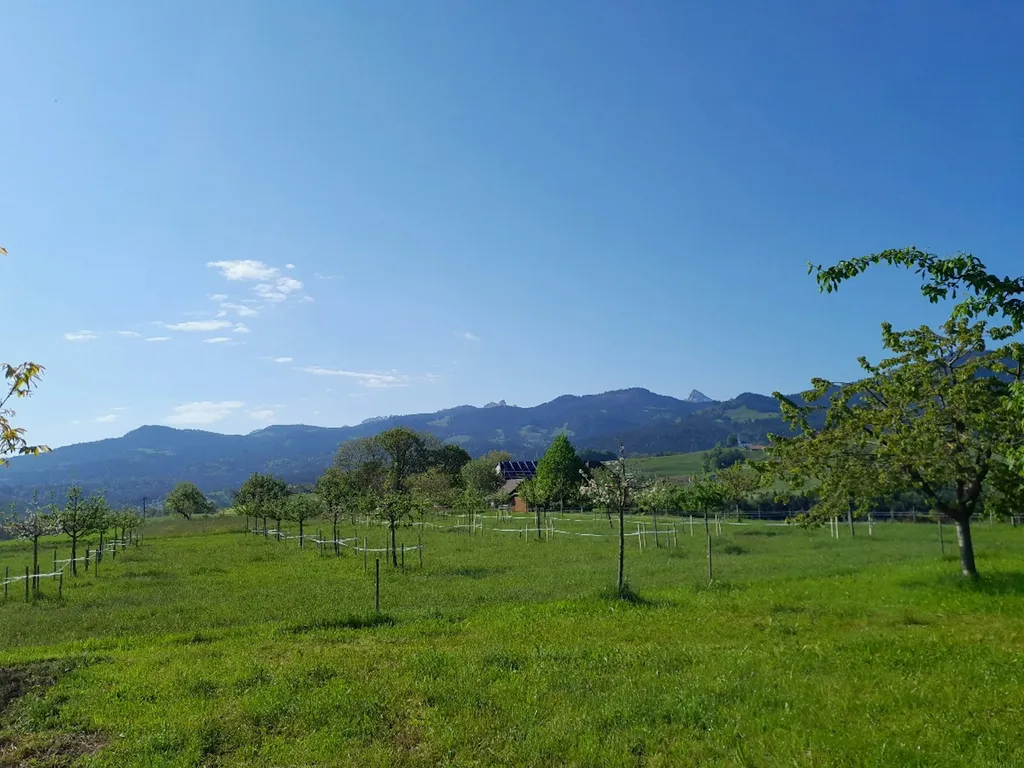 Gantrisch Camp (ein Platz für dich alleine)