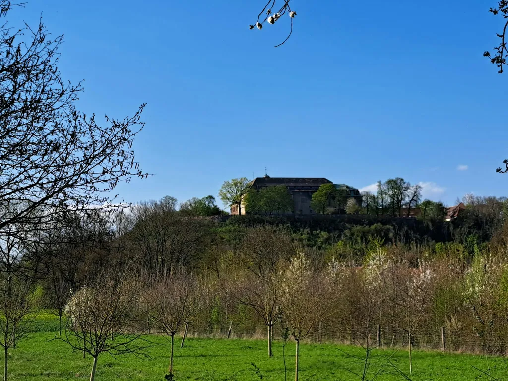 Womo Stellplatz unter den Nussbäumen