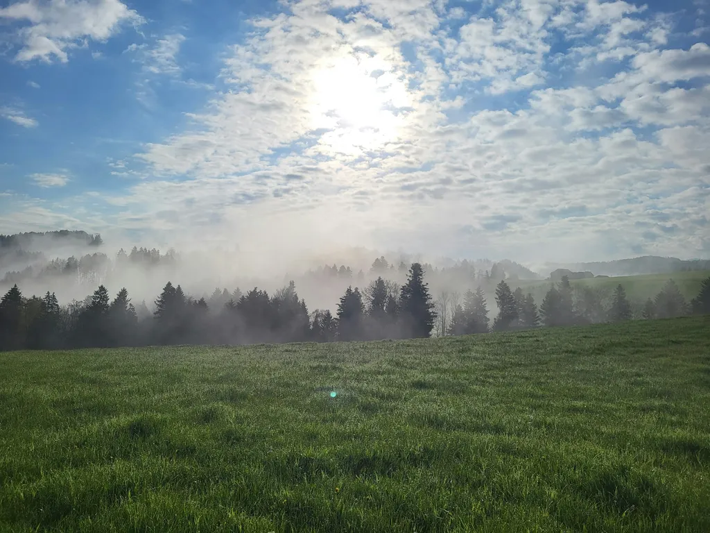 Campen auf dem Biohof