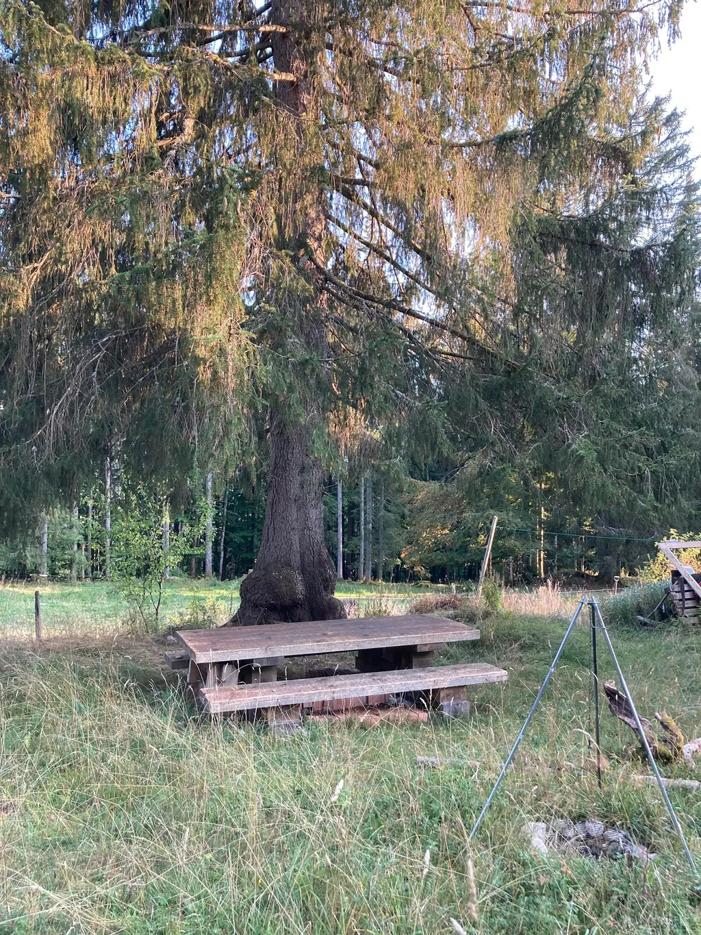 Paturage au Jura Neuchâtelois