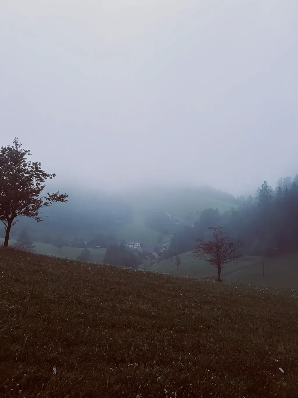 Bild von Kevin für den Spot 1620