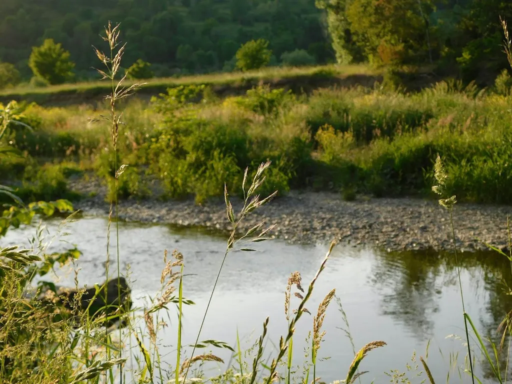 Zeltplatz mit direktem Ahrblick