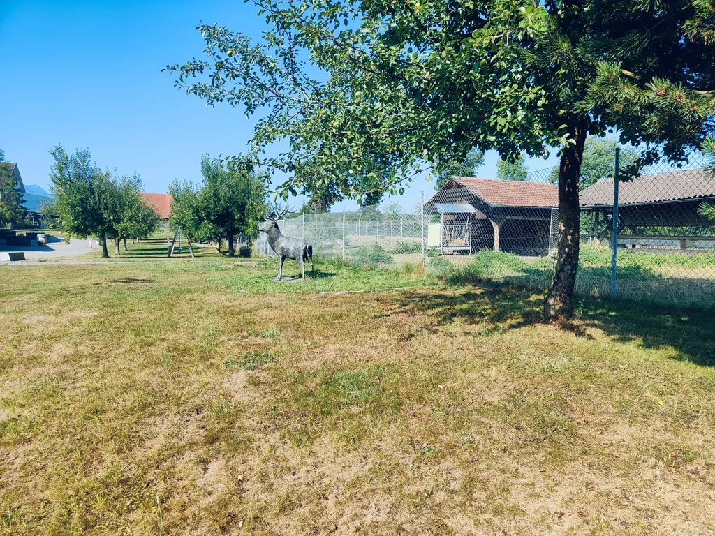 Bild von Susanne für den Spot 100