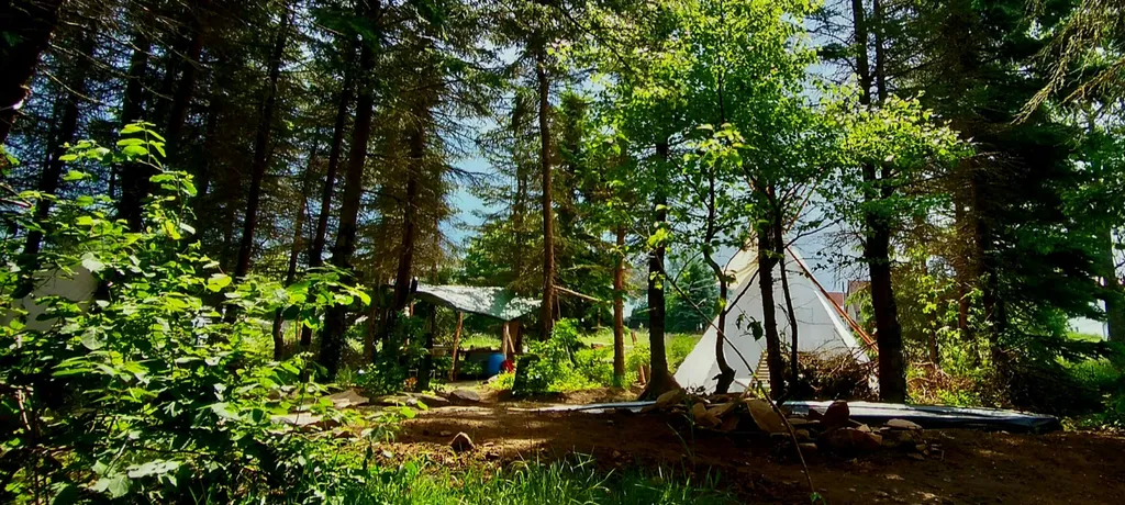 Natürlichkeit & Ruhe im Pfälzerwald