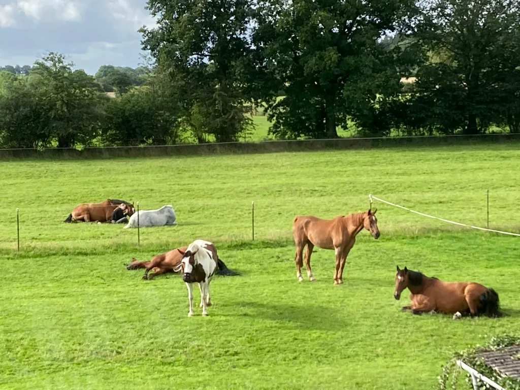 Einsamer Resthof im Grünen