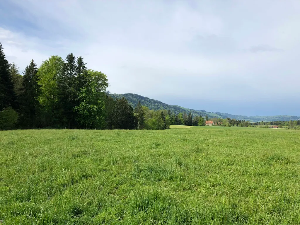 Camp auf dem Bauernhof - Rigiblick