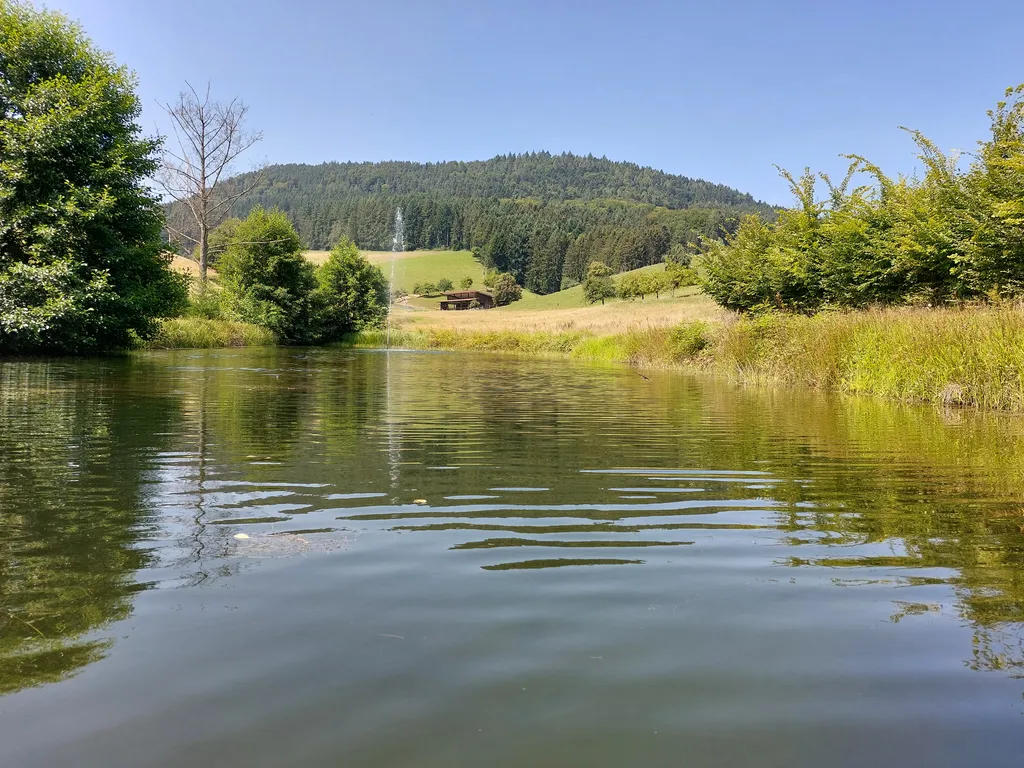 Naturschwimmteich direkt am Hof