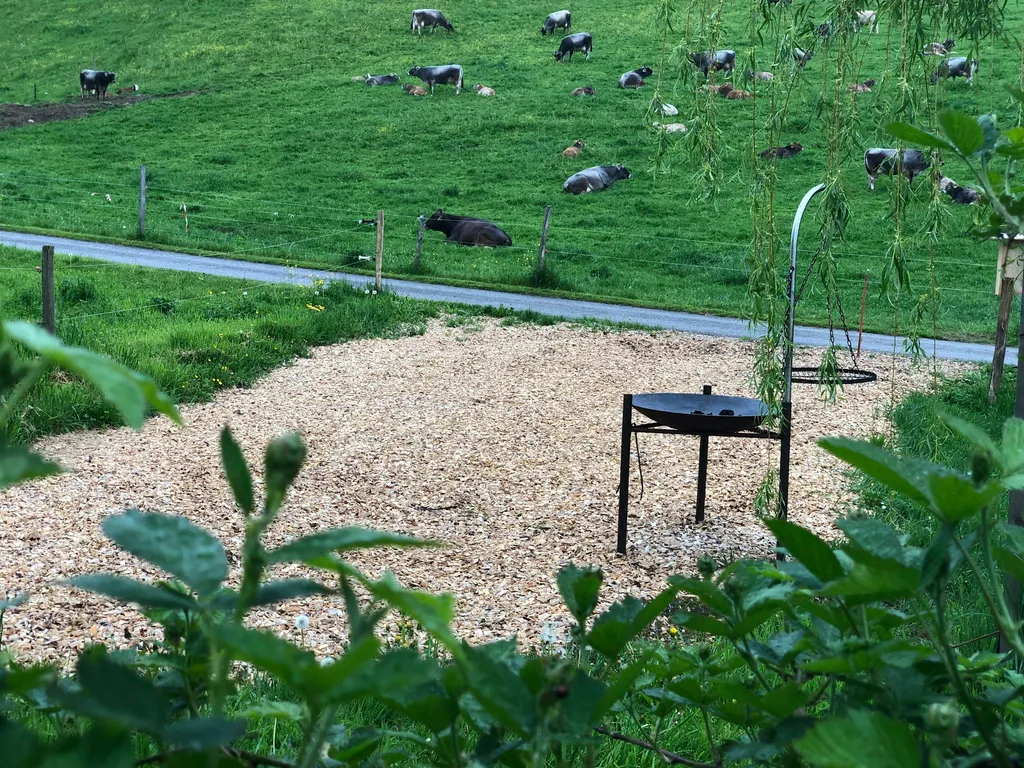 Feuerschale und Grillrost sind vorhanden. Das Feuerholz kannst du bei uns kaufen.