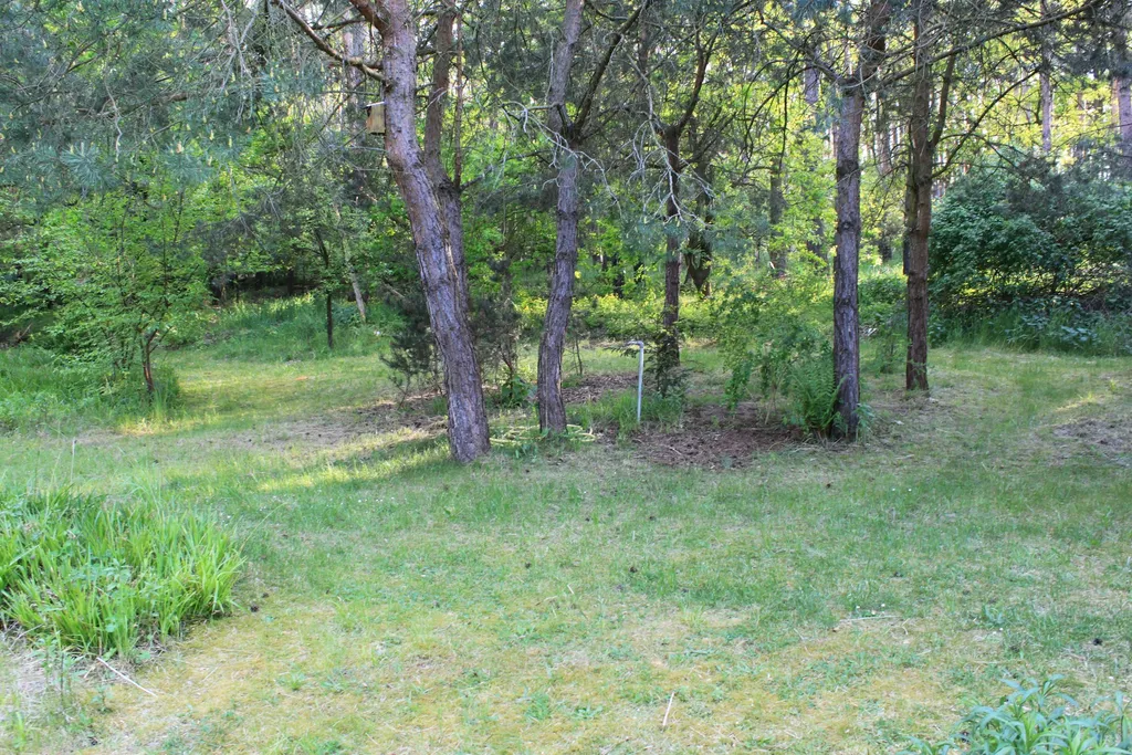Landschaftsgarten auf Insel Töplitz