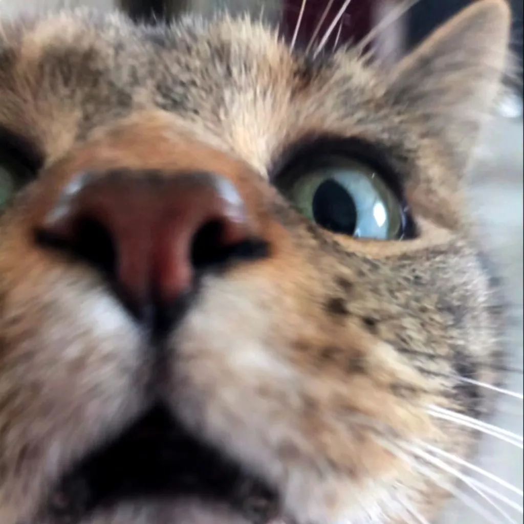 Profilbild von Nicole