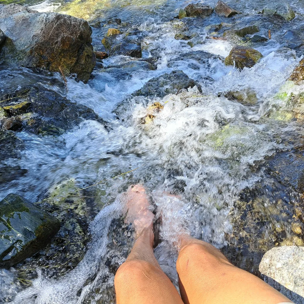 Profilbild von Günther