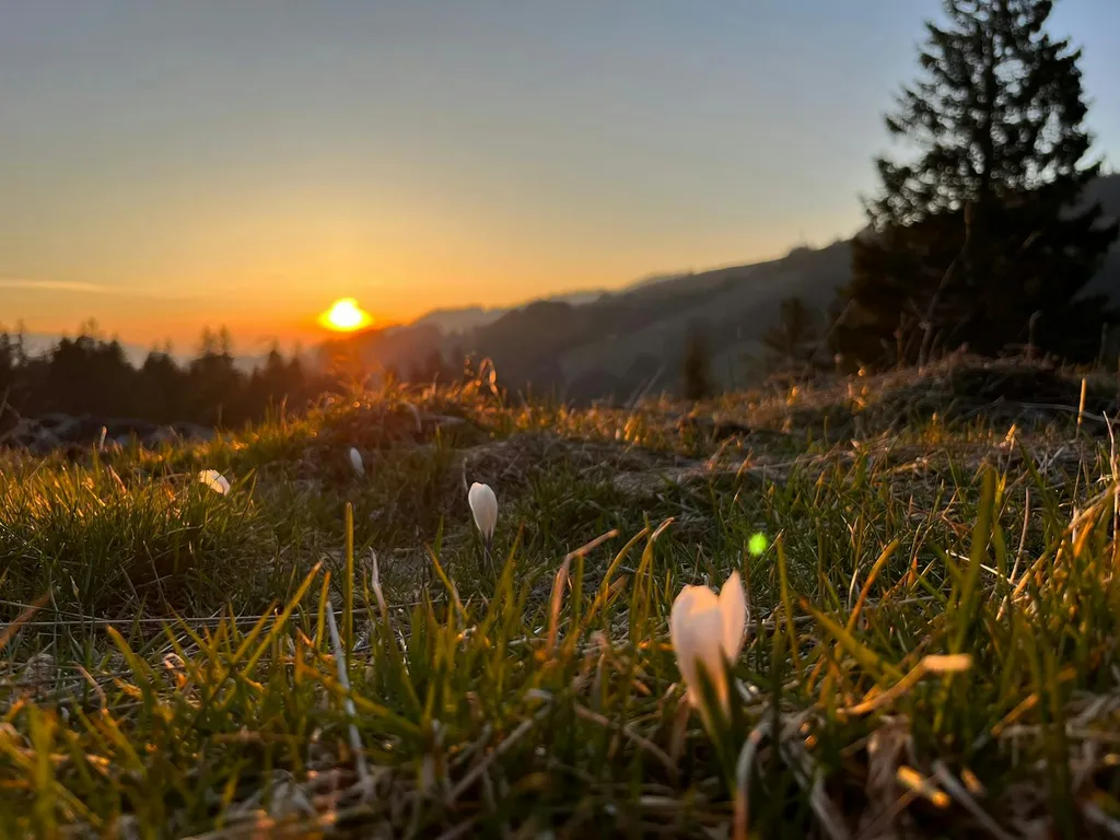 Berghaus Schwefelberg im Naturpark Gantrisch