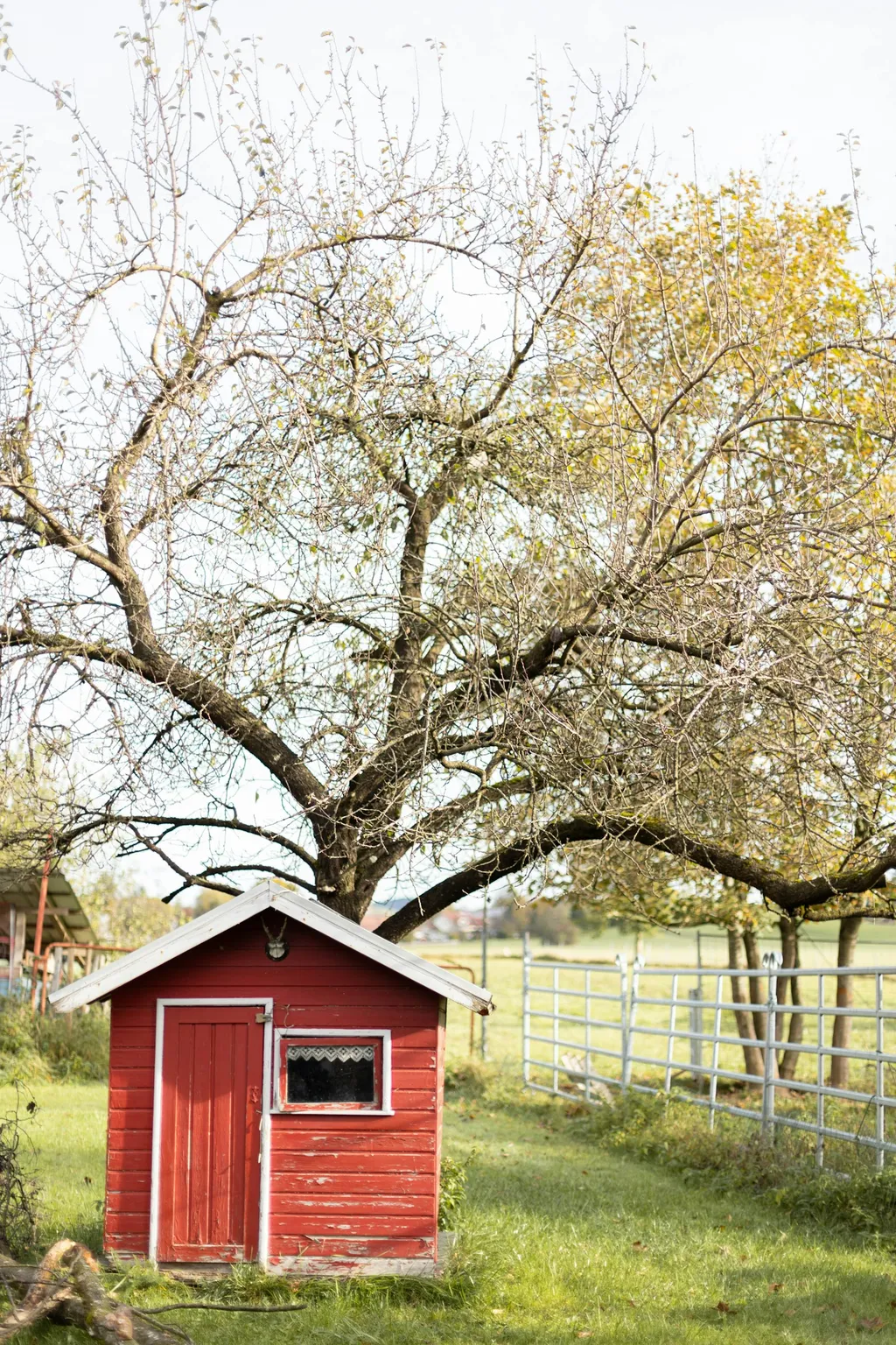 Idyllisches Plätzchen neben Biohof