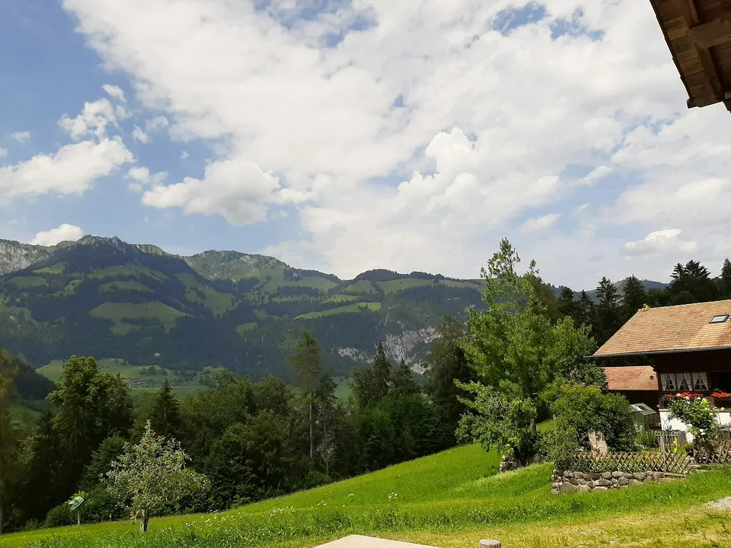 Im Naturpark Diemtigtal Bächlen