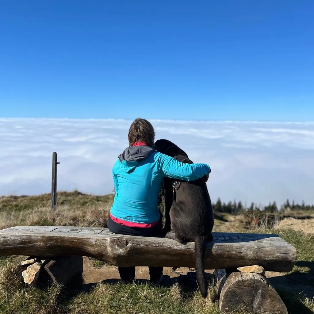 Profilbild von David