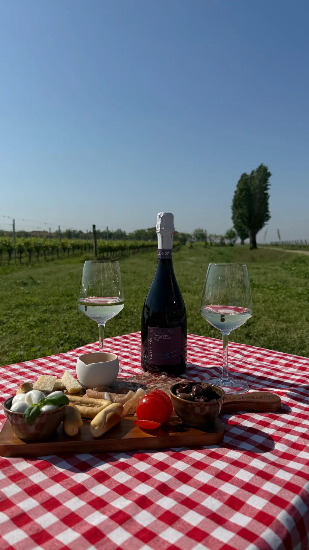 I nostri vini e prodotti agricoli in abbinamento ai cibi locali tipici della pianura veronese da gustare all'aria aperta o in taverna.