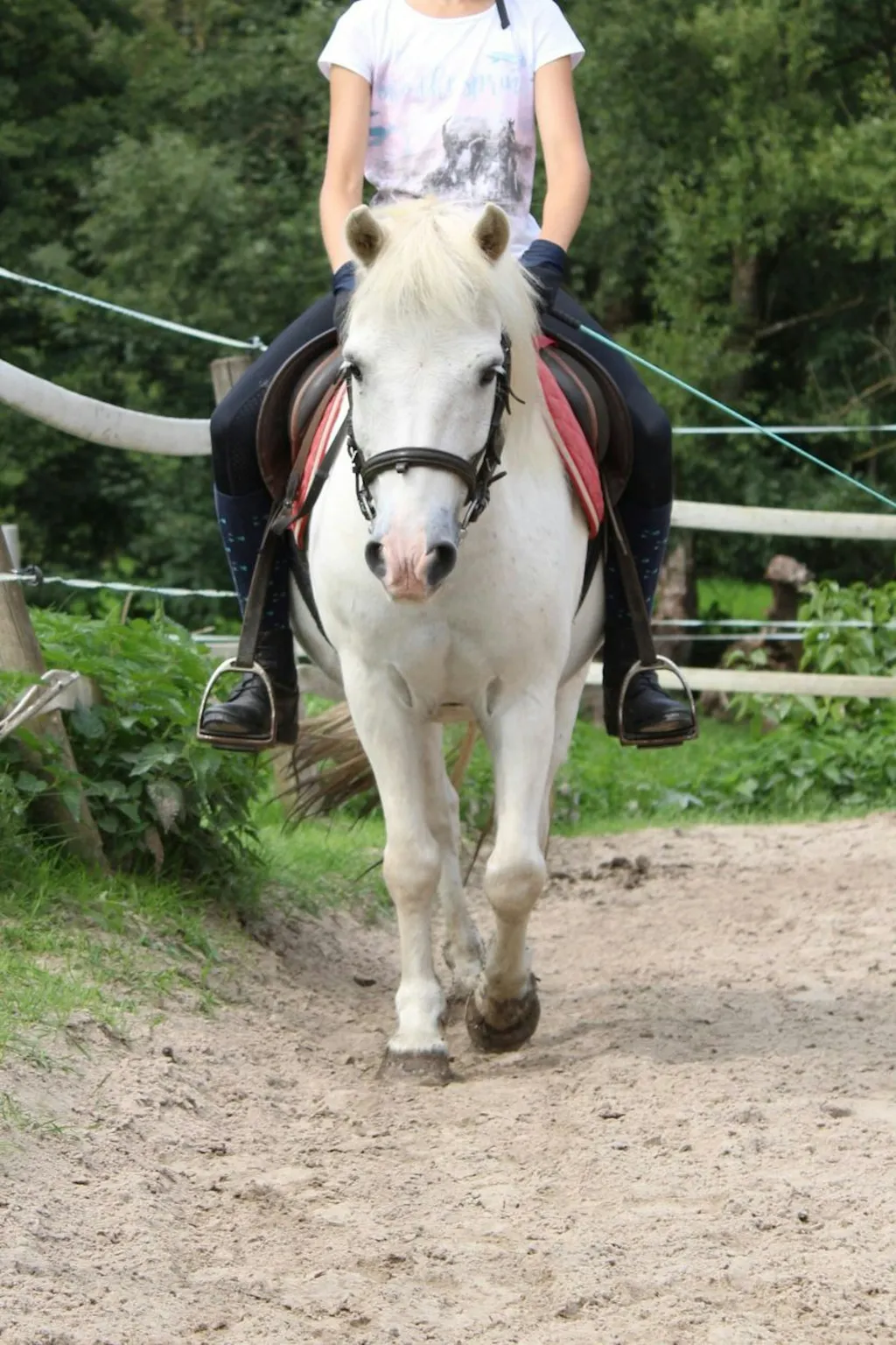 Stellplatz neben dem Hof