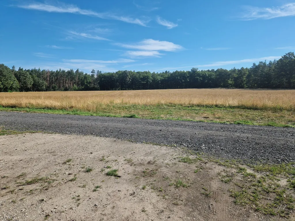 Camping an der Schafweide