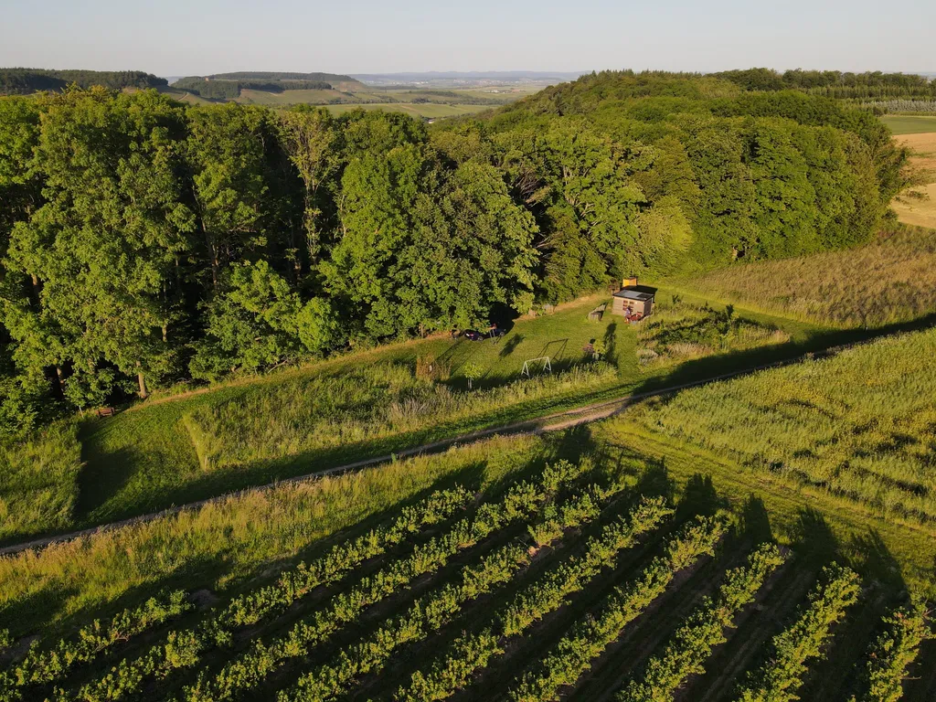 Schlafen am Waldrand