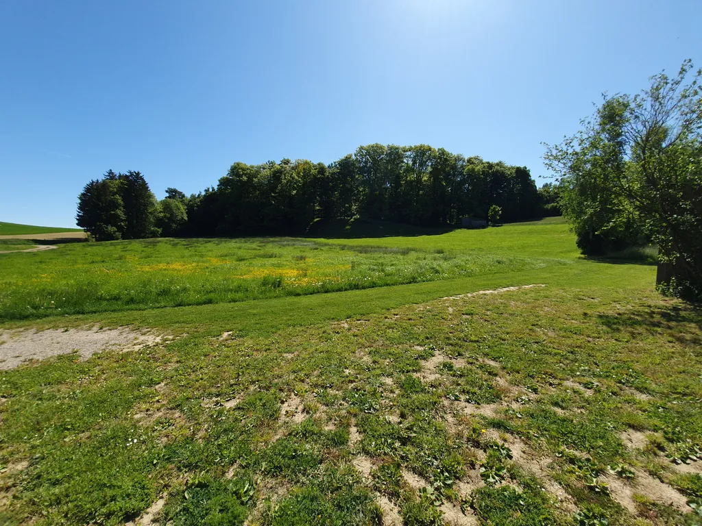 Natur pur: Ihr Stellplatz am ruhigen Ortsrand