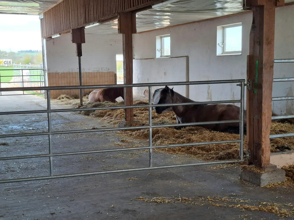 Camping auf der Pferderanch