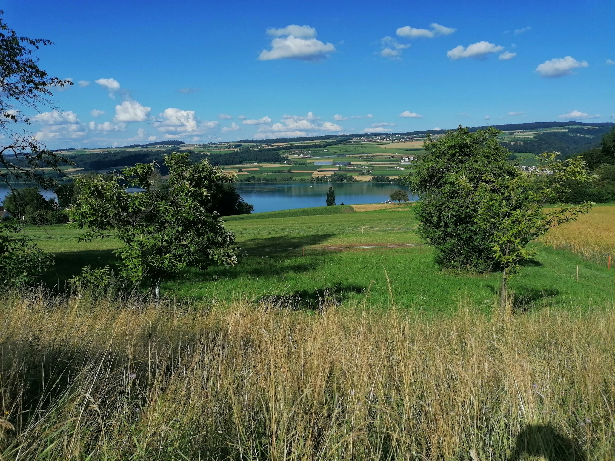 Camp im Obstgarten mit Seeblick