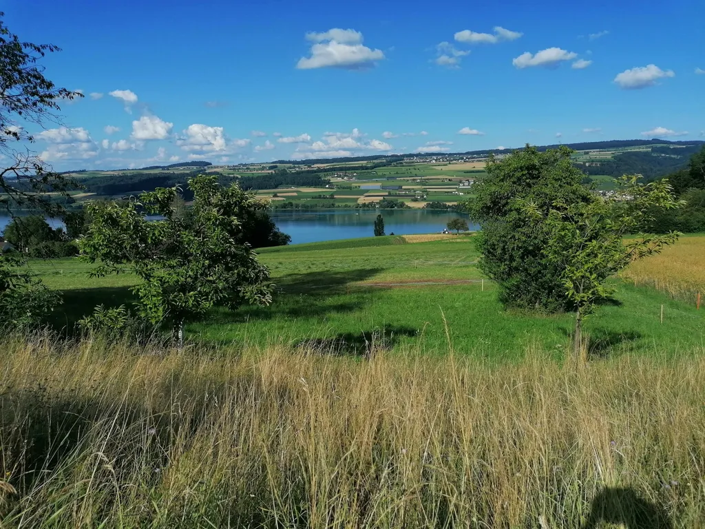 Camp im Obstgarten mit Seeblick